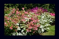 27 05 13_2970_edited-1